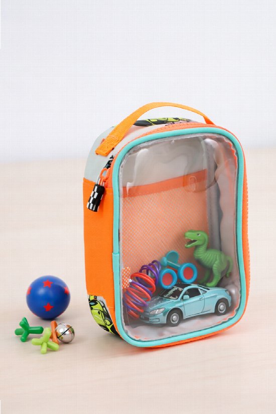Mini Explorer Clear Case